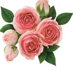 Puzzle 2 em 1 Rosé o dia todo