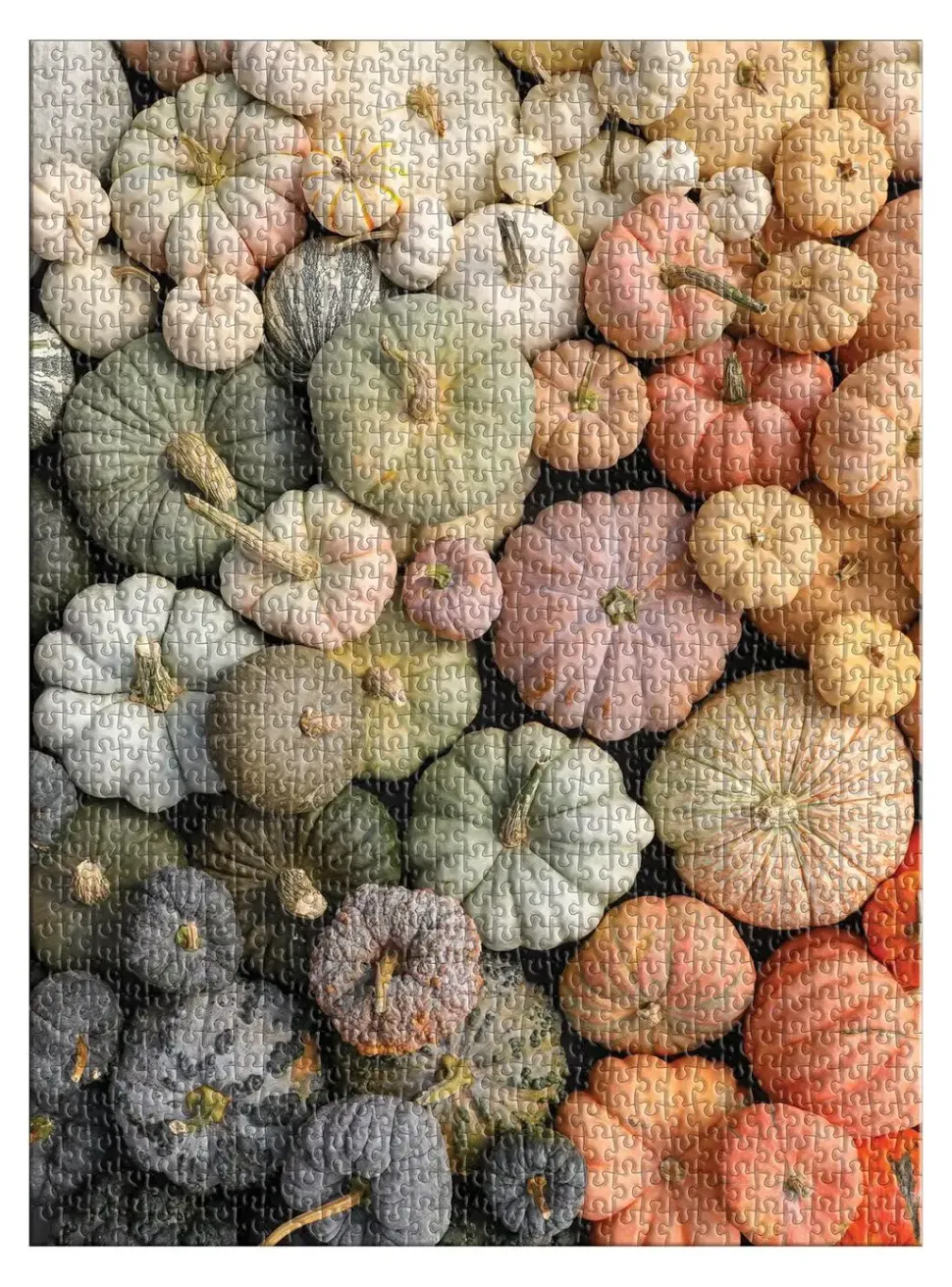 Puzzle Abóboras tradicionais