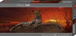 Puzzle Alexander von Humboldt: Leopardo ao nascer do sol