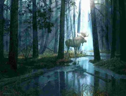 Puzzle Apanhado pela luz