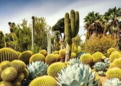 Puzzle Belos Jardins: Huntington Garden, EUA