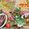 Puzzle Bicicleta com Flores
