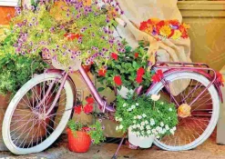 Puzzle Bicicleta com Flores