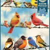 Puzzle Birds on a Wire