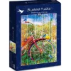 Puzzle Bluebirds em uma bicicleta