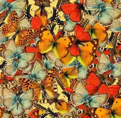 Puzzle Borboletas Borboletas Borboletas!