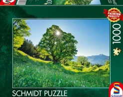 Puzzle Bordo Sycamore à luz do sol