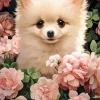 Puzzle Cachorro Pomerânia em Rosas