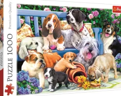 Puzzle Cachorros no jardim