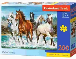 Puzzle Call of Nature