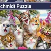 Puzzle Cat Selfie