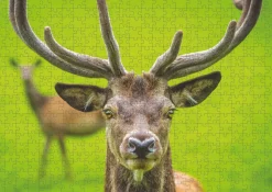 Puzzle Cervo