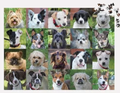 Puzzle Cães de resgate