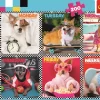 Puzzle Cães felizes 200 peças