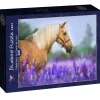 Puzzle Cheval em um Champ de Lupin