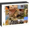 Puzzle Colagem de animais selvagens