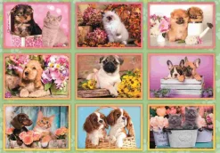 Puzzle Colagem de filhotes