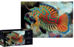 Puzzle Colourf.Nature: Mandarim