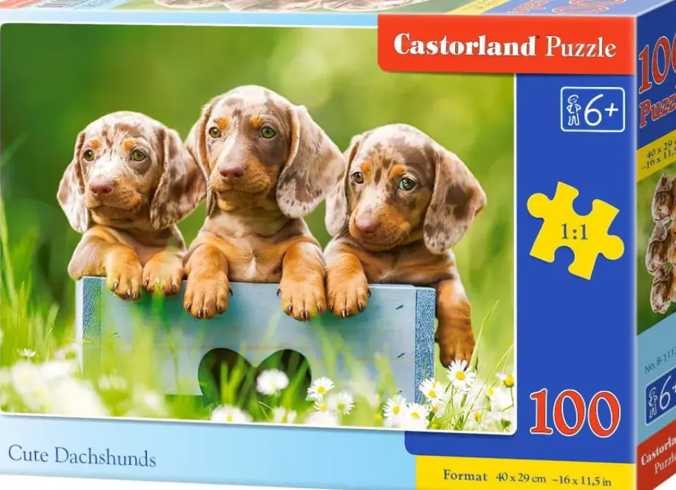 Puzzle Dachshunds fofos