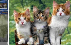 Puzzle Diamante Pintando Gatos 30x40cm