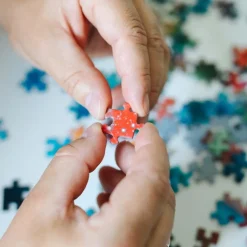 Puzzle Dominic Davison: Palácio de Paris