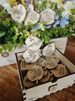 Puzzle Drevené pexeso Herbár lie膷ivých rastlín