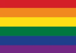 Puzzle Edição Orgulho