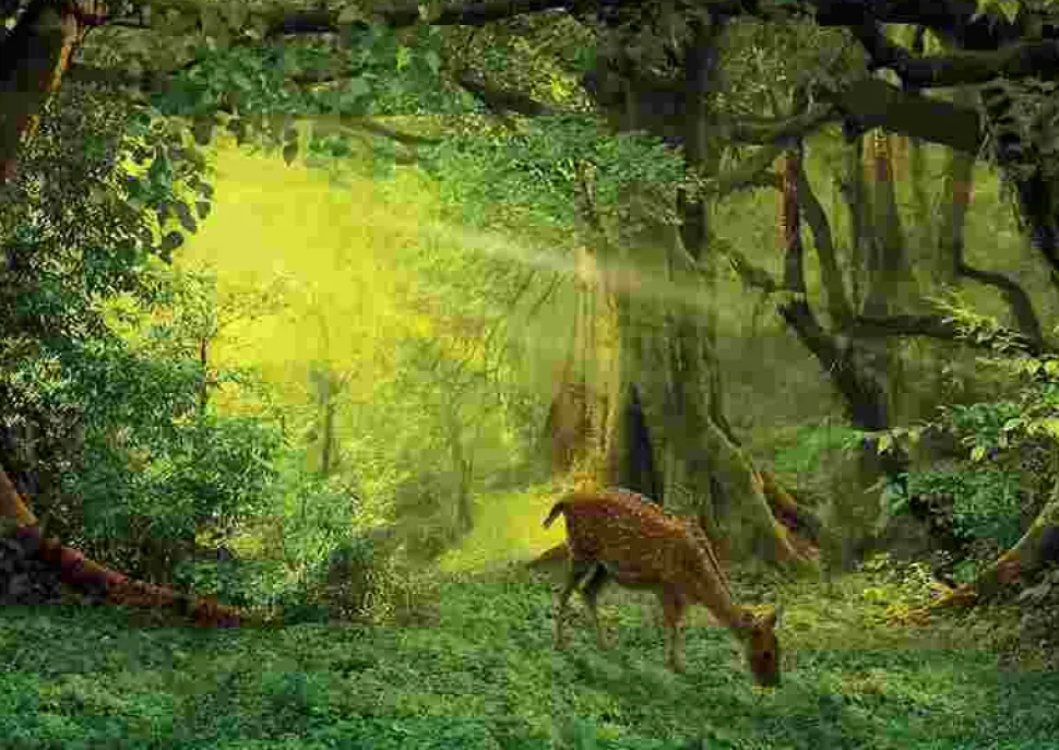 Puzzle Ele esta na mata