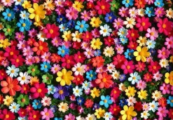 Puzzle Explosão de pétalas