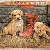 Puzzle Filhotes com Sapato