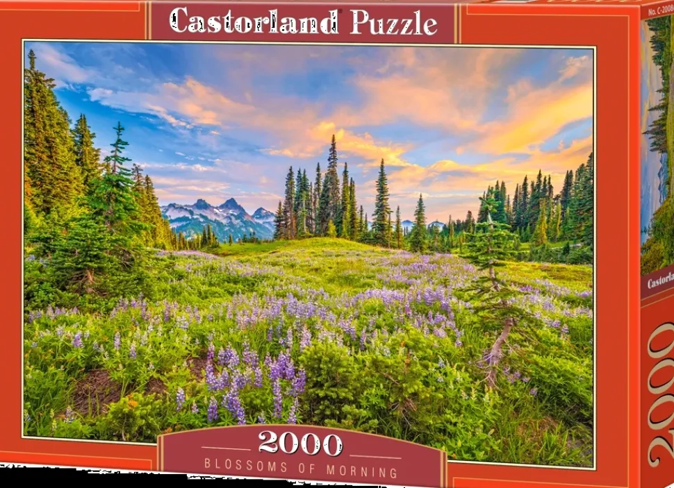 Puzzle Flor da manhã