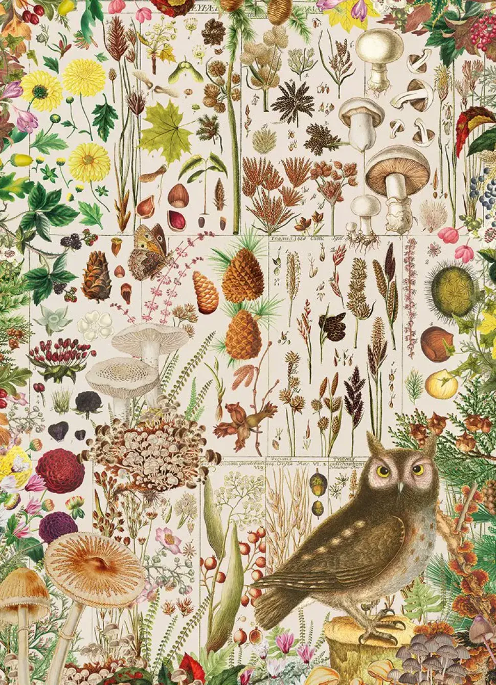 Puzzle Flora de outono