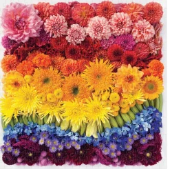 Puzzle Flores arco-íris