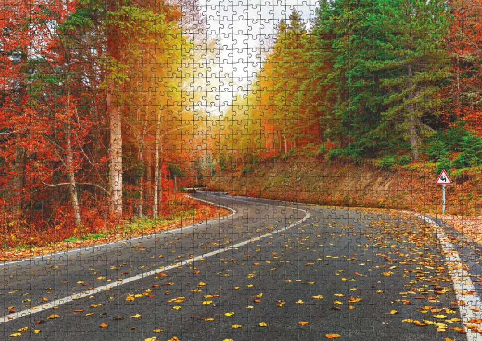 Puzzle Floresta de outono na Turquia