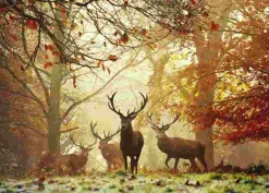 Puzzle Florestas mágicas: veados