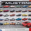 Puzzle Ford Mustang Evolution
