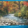 Puzzle Forest Stream