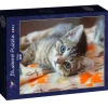 Puzzle Gatinho
