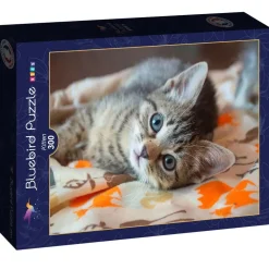 Puzzle Gatinho