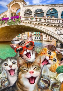 Puzzle Gatinhos em Veneza