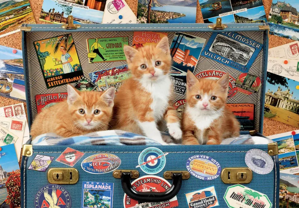 Puzzle Gatinhos itinerantes