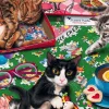 Puzzle Gatos
