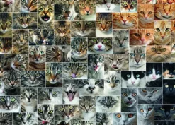 Puzzle Gatos