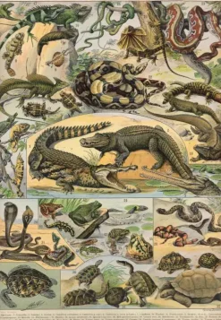 Puzzle Ilustração do Novo Larousse Ilustrado: Reptiliano
