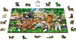 Puzzle Jardim de Infância da Fazenda