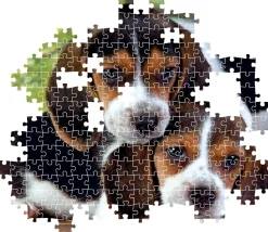 Puzzle Juntos 500