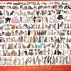 Puzzle Katzenwelt