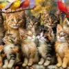 Puzzle Kittnes e aves