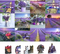 Puzzle Lavanda França