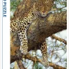 Puzzle Leopardo em uma árvore